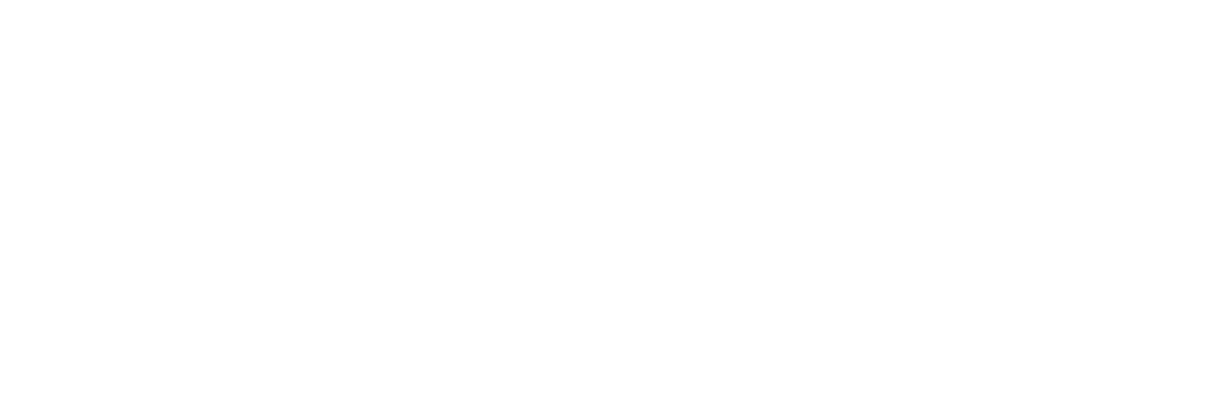 Internal Vision